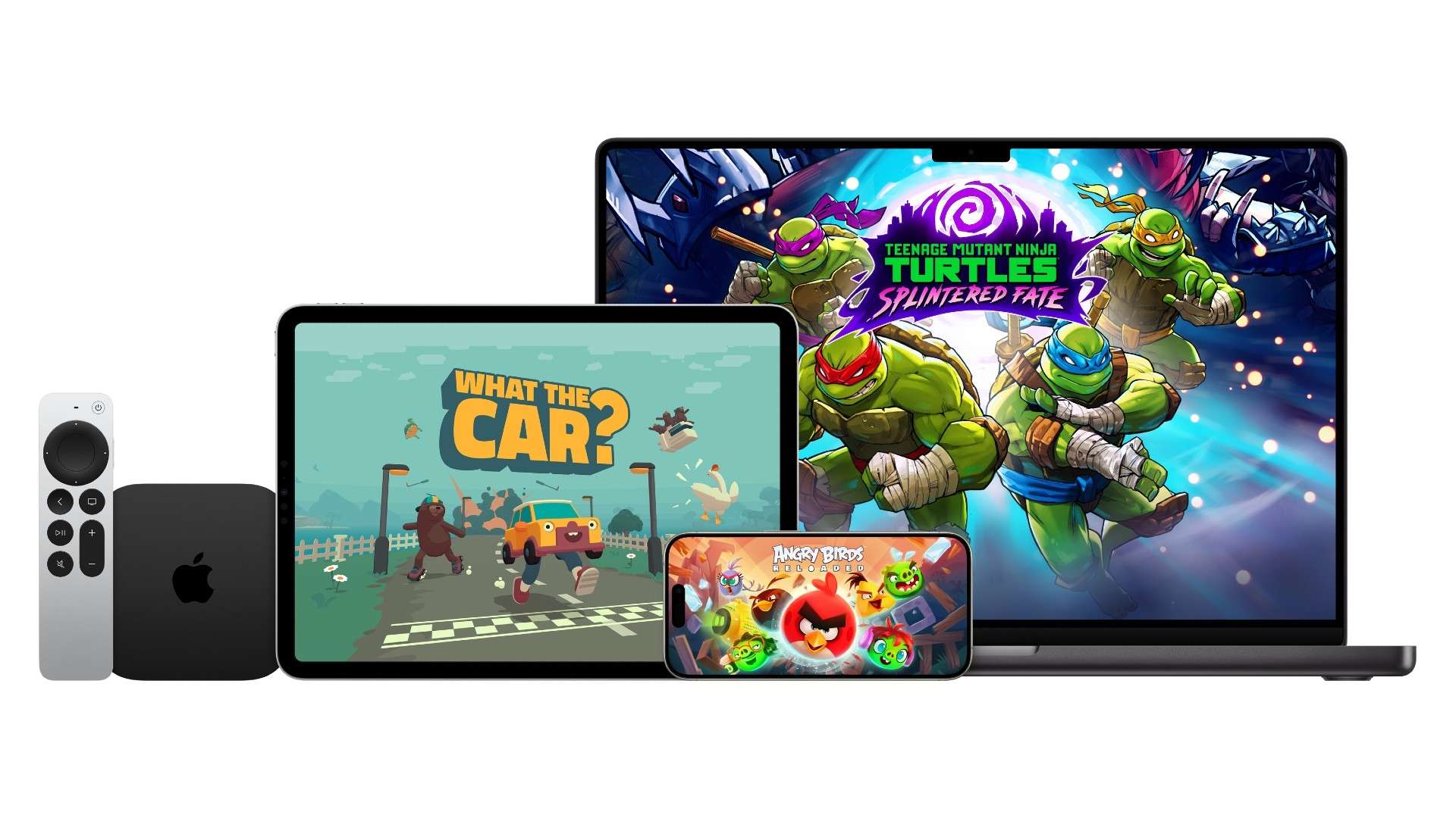 足世预赛主 足世预赛主